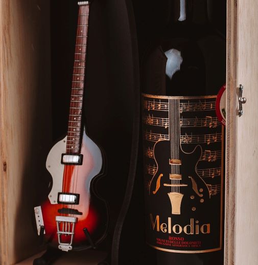 Vinho Melodia Caixa + Brinde